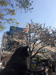 88C95B6C-2A70-401B-B6B9-1A171480A681.jpg