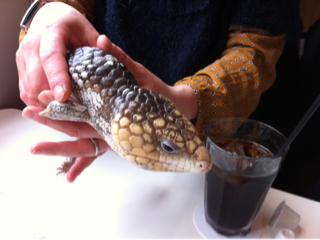 image-20120328102536.png