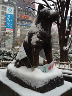 image-20140208110653.png