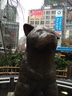 image-20140215001339.png